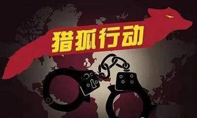王中王免費資料大全背后的精準犯罪問題探討
