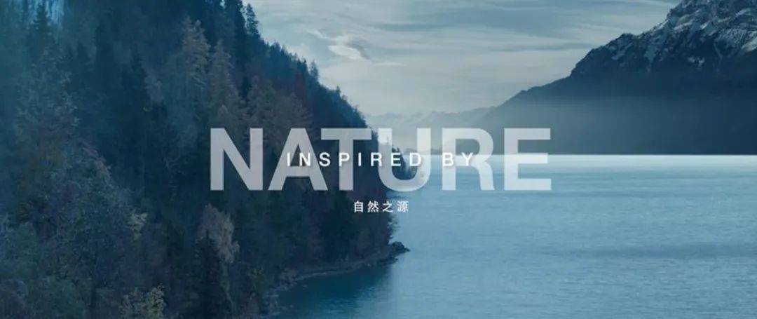 水沐晨光最新章節(jié)閱讀，探尋未知的奇幻世界