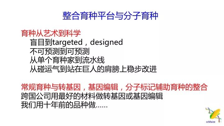 新澳天天開(kāi)獎(jiǎng)資料大全，揭示背后的風(fēng)險(xiǎn)與挑戰(zhàn)