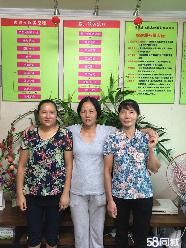 薛城最新的鐘點(diǎn)工招聘，探索靈活就業(yè)的新機(jī)遇
