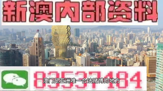 新澳精準資料，探索其背后的力量與價值