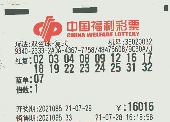 新澳門三期必開一期，理性看待彩票與賭博的界限