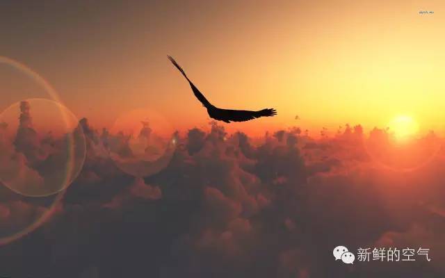 一天空氣最新鮮的時(shí)間，探尋最佳呼吸時(shí)刻