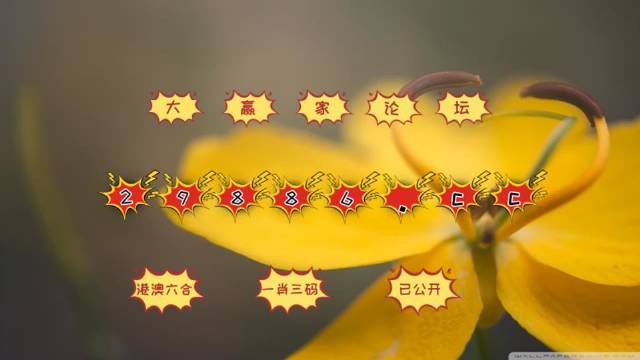 關(guān)于澳門4949開獎免費資料的探討——一個涉及違法犯罪的警示文章