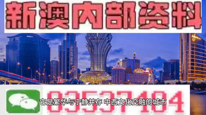 新澳門免費資料大全正版閱讀，探索與體驗
