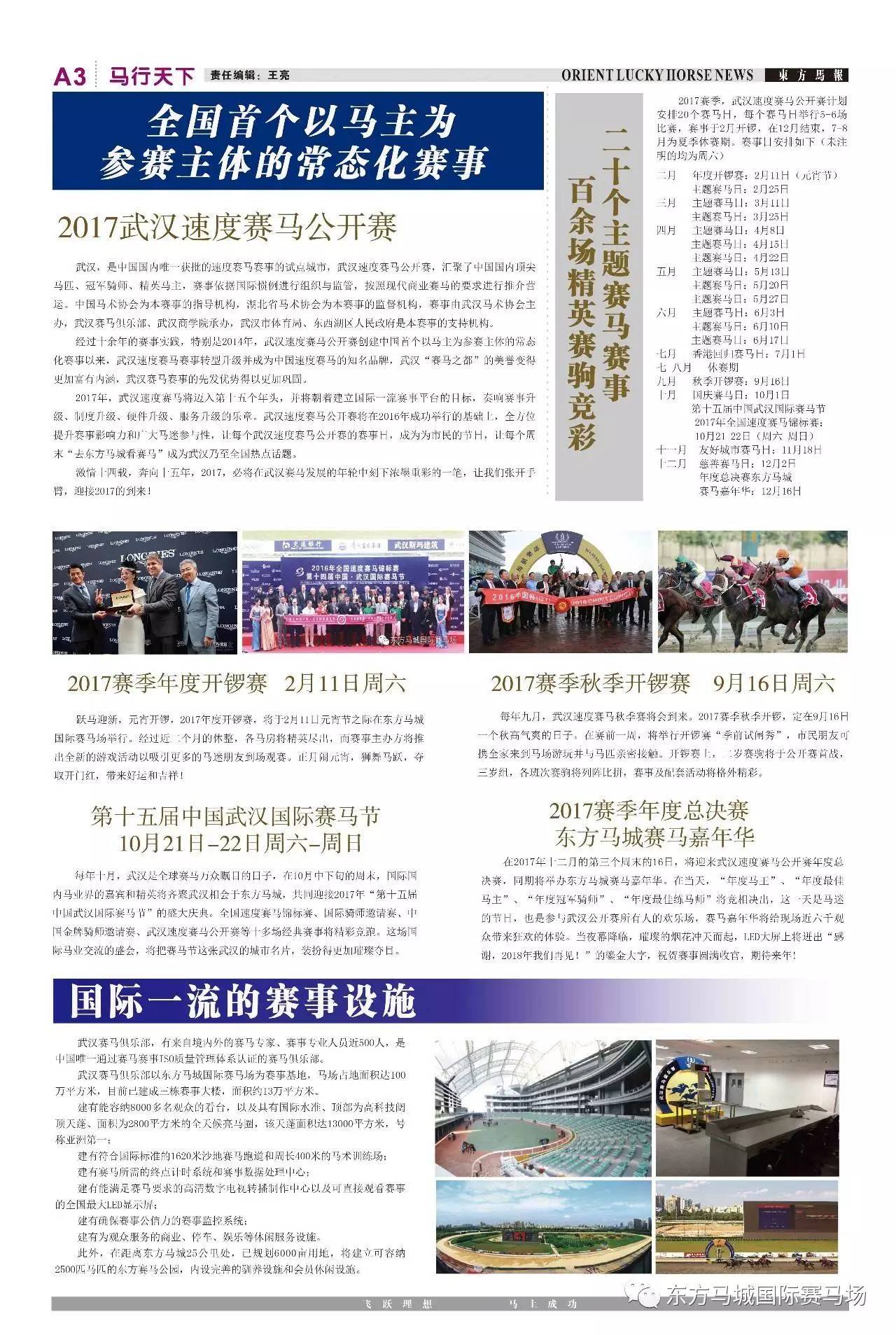 探索未來，關于2024年免費澳門馬報資料的研究與解析