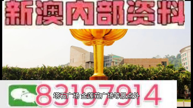 澳門內(nèi)部最精準(zhǔn)免費(fèi)資料，揭示背后的真相與風(fēng)險警示