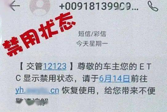 警惕虛假信息陷阱，新澳門資料全年免費(fèi)精準(zhǔn)背后的風(fēng)險