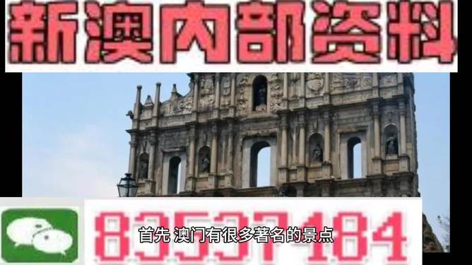 澳門三肖三碼精準100%，揭示犯罪行為的真相與警示
