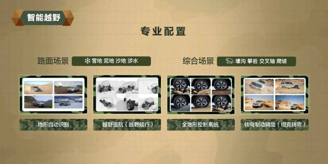 香港100%最準(zhǔn)一肖中，揭秘生肖預(yù)測(cè)的神秘面紗