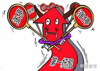 一碼一肖，揭秘生肖預測背后的真相與風險