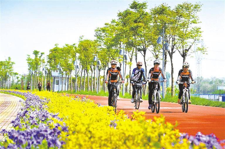 六安市環(huán)保最新消息，邁向綠色發(fā)展的堅(jiān)定步伐