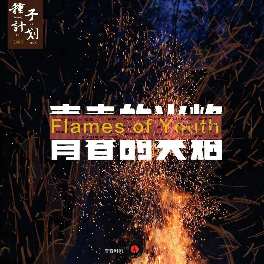 奔跑最新一期英文歌曲，探索音樂(lè)的力量與激情