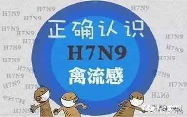 香港H7N9最新消息2017，流感監(jiān)測(cè)與防控進(jìn)展