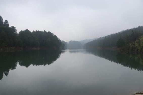 綦江藻渡河水庫最新進展，建設(shè)進展順利，助力地方經(jīng)濟發(fā)展