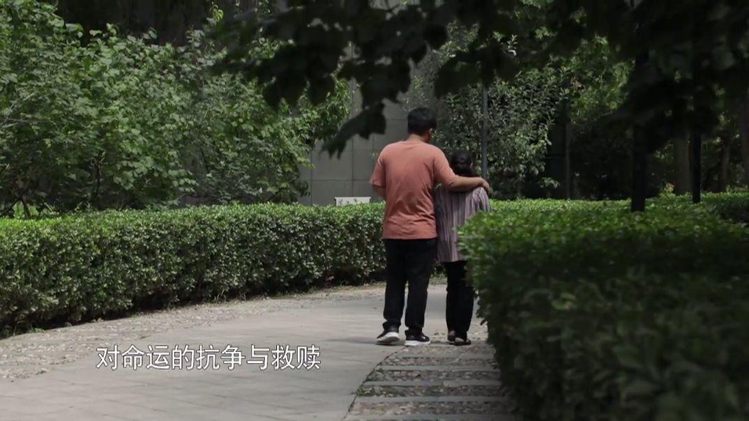 今世緣等著我最新一期，今晚相約情緣之夜